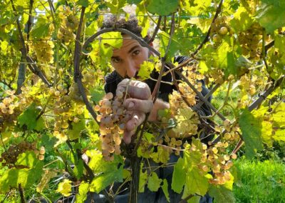 Un vigneron du terroir